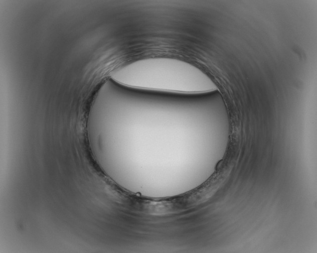 X0000111490277200907141110