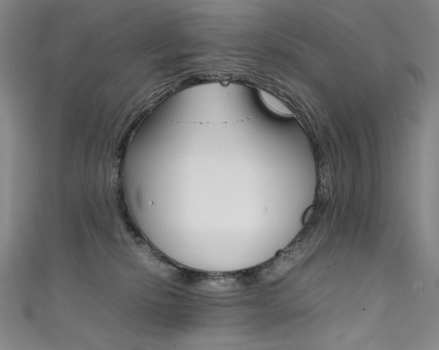 X0000111490278200907141110