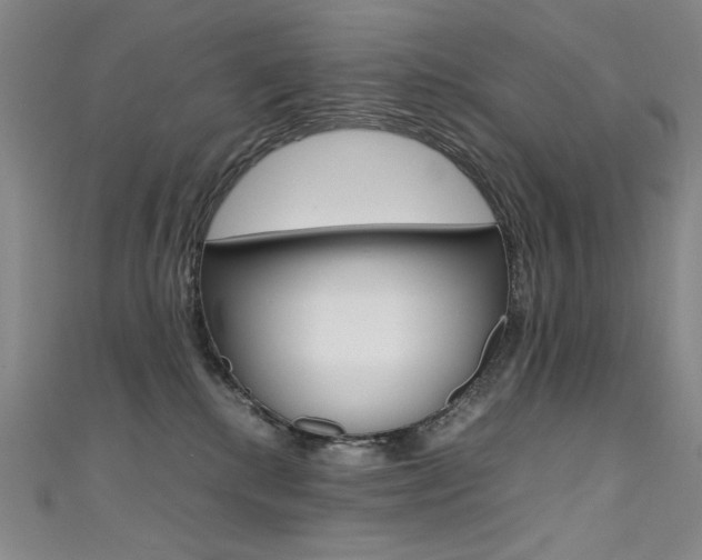 X0000111490280200907141110