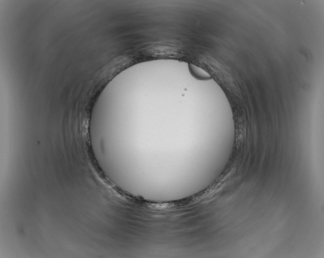X0000111490281200907141110