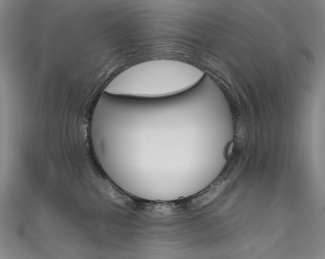 X0000111490282200907141110