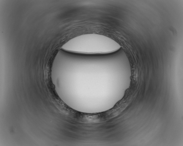 X0000111490283200907141110