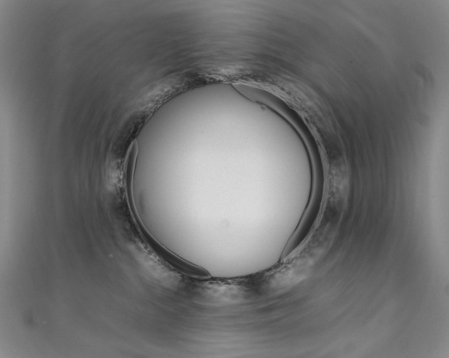 X0000111490284200907141110