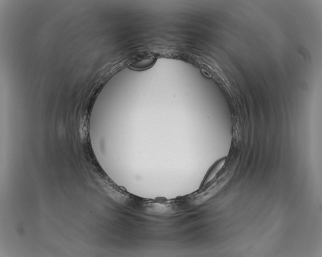 X0000111490285200907141110