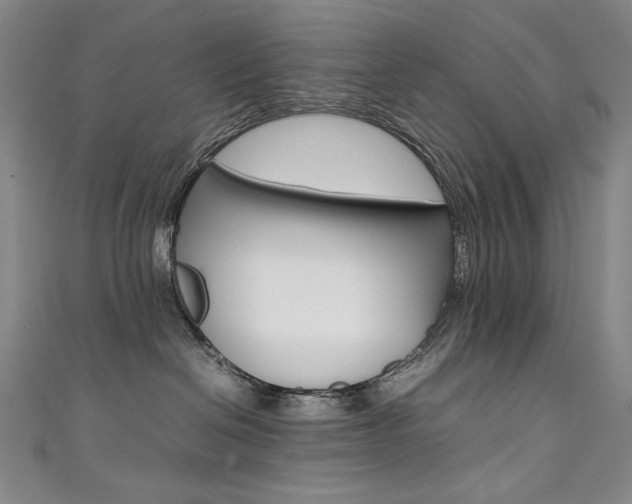 X0000111490286200907141110