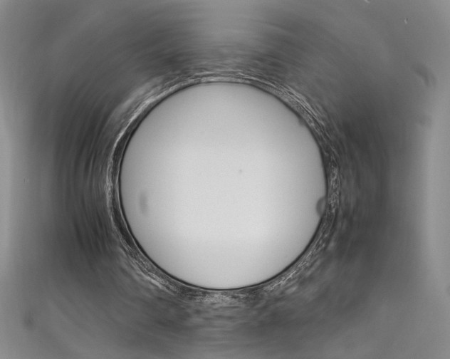 X0000111490290200907141109