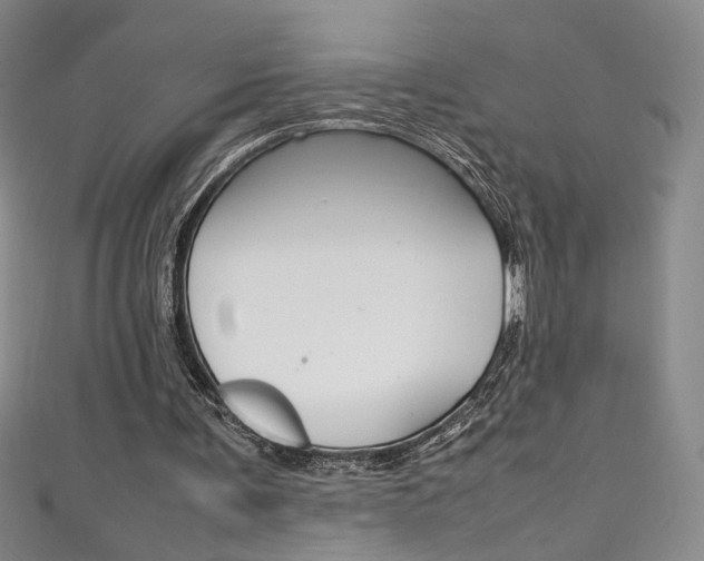 X0000111490291200907141109