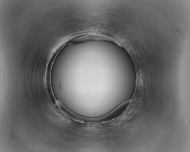 X0000111490292200907141109