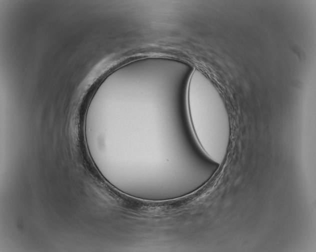 X0000111490295200907141109