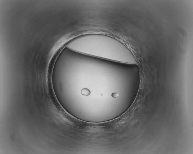 X0000111490296200907141109