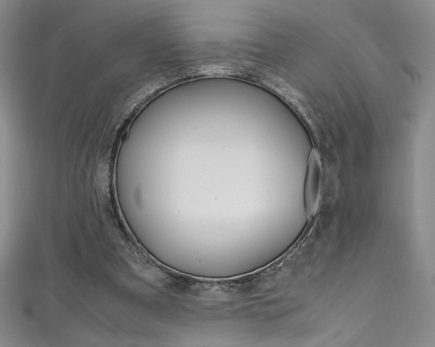 X0000111490297200907141109