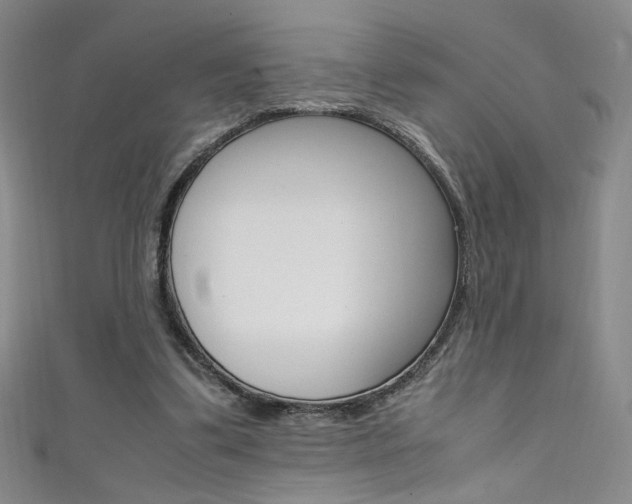 X0000111490299200907141109