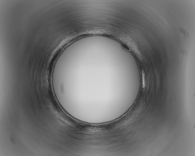 X0000111490300200907141109