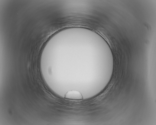 X0000111490301200907141109