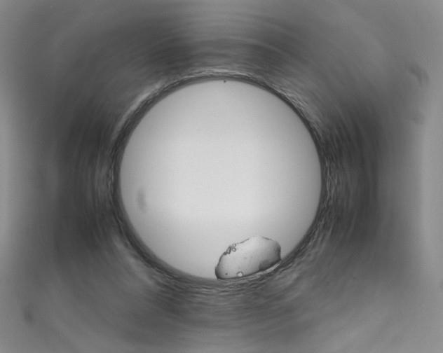 X0000111490304200907141109