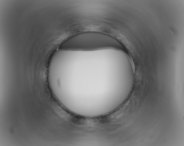 X0000111490305200907141109
