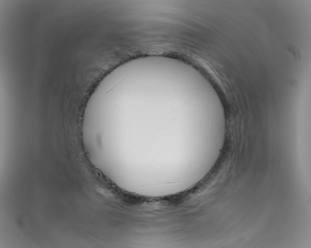 X0000111490307200907141109