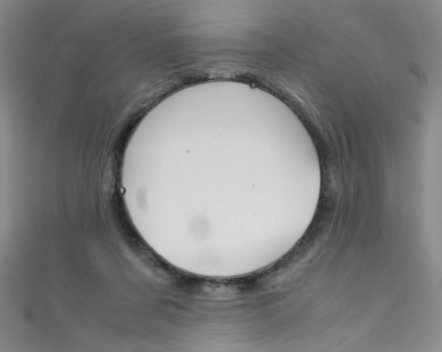 X0000111490311200907141109