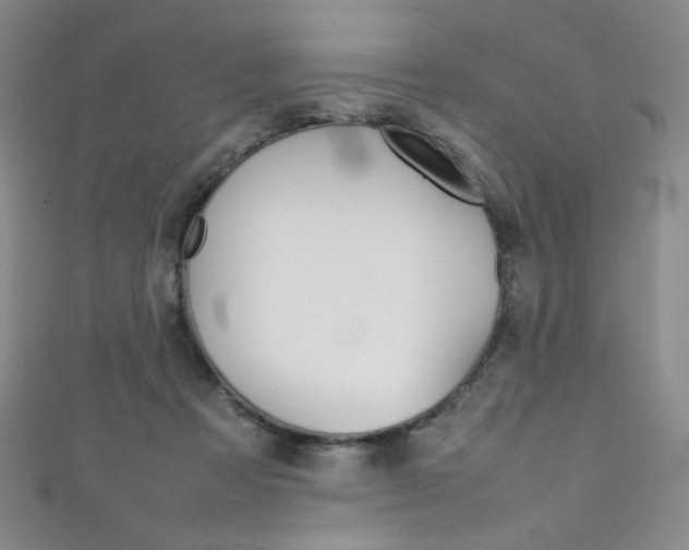 X0000111490313200907141109