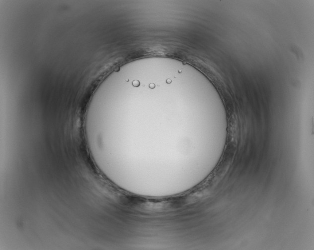 X0000111490314200907141109