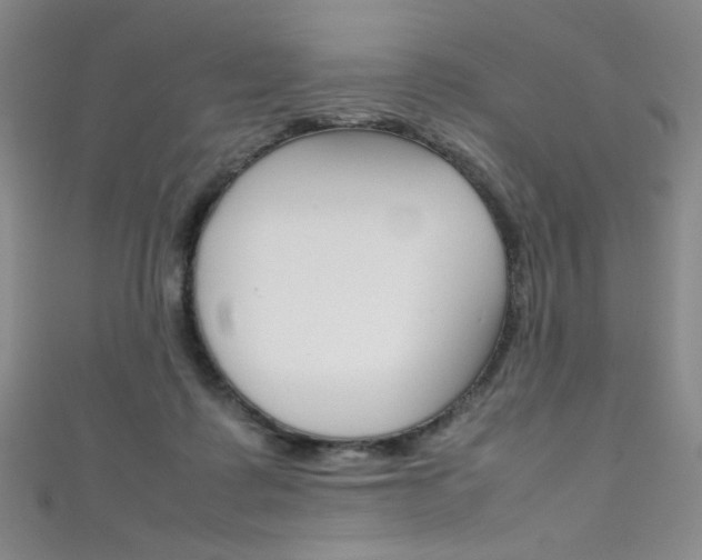 X0000111490315200907141109