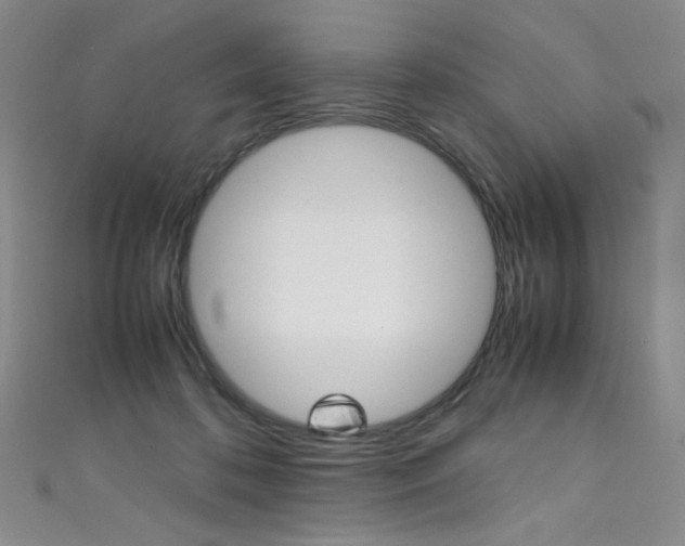 X0000111490316200907141109