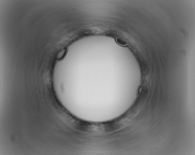 X0000111490317200907141109