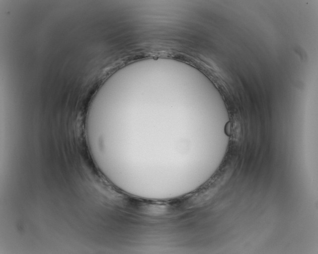 X0000111490318200907141109