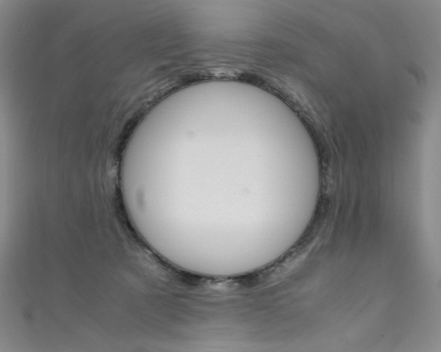 X0000111490321200907141109