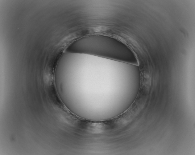 X0000111490324200907141109