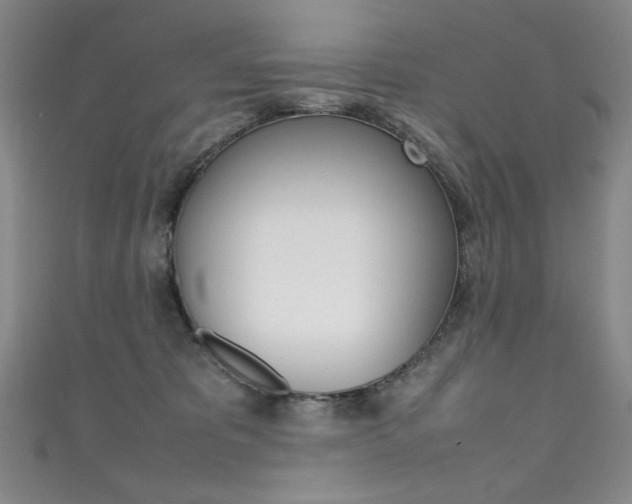 X0000111490325200907141109