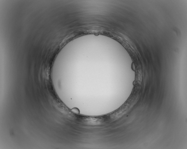 X0000111490326200907141109