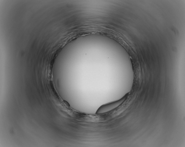 X0000111490328200907141108