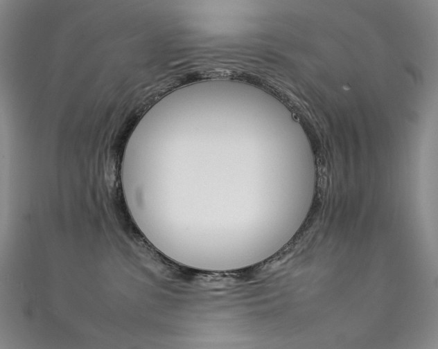 X0000111490331200907141108