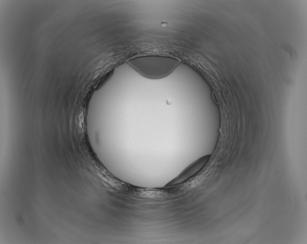 X0000111490336200907141108
