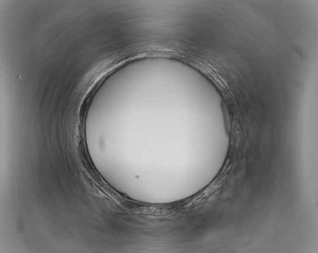 X0000111490338200907141108
