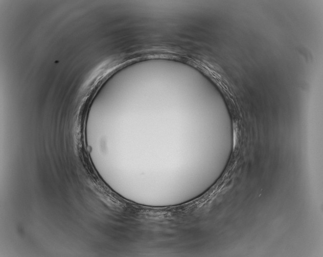 X0000111490339200907141108