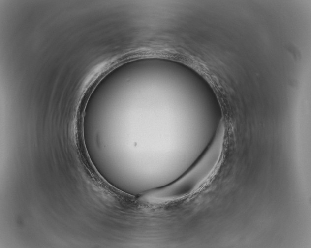 X0000111490340200907141108