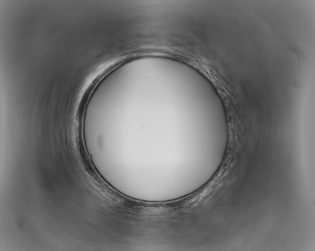 X0000111490342200907141108