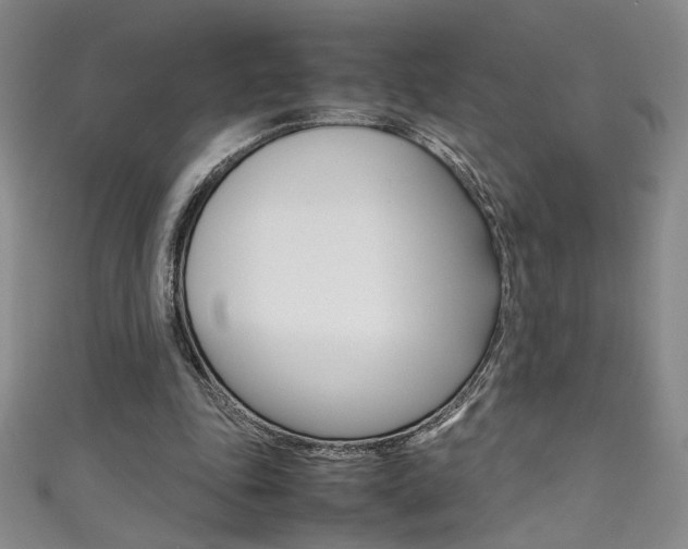 X0000111490343200907141108