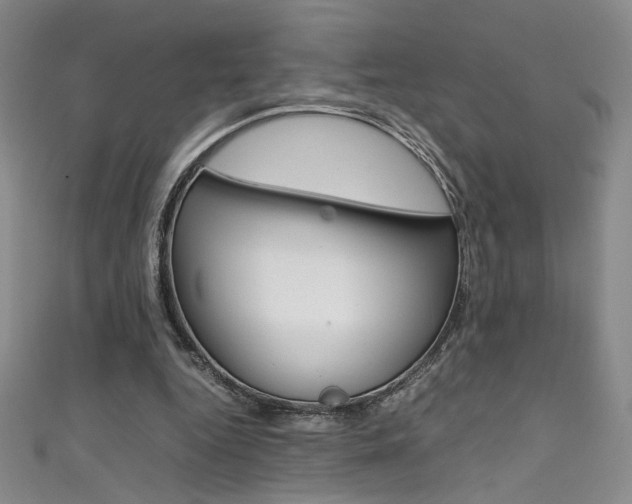 X0000111490344200907141108
