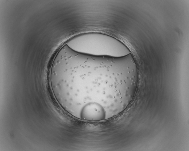 X0000111490346200907141108
