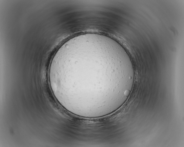 X0000111490347200907141108