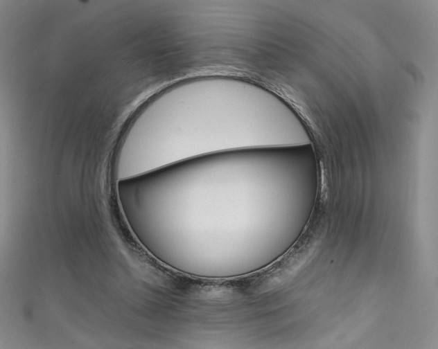 X0000111490348200907141108