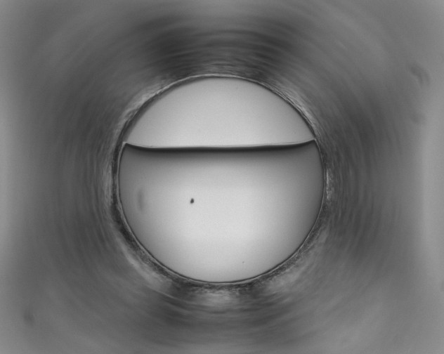 X0000111490349200907141108