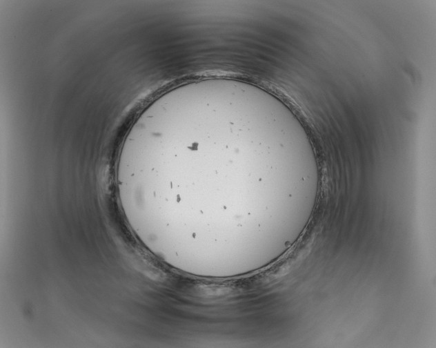 X0000111490351200907141108