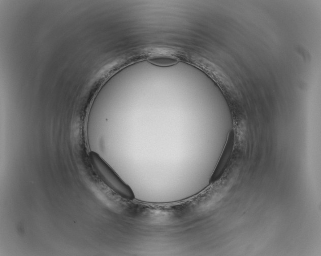 X0000111490352200907141108