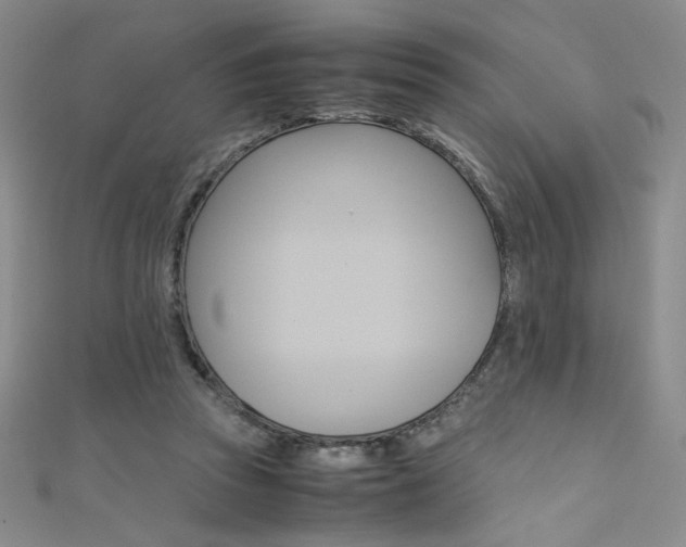 X0000111490353200907141108