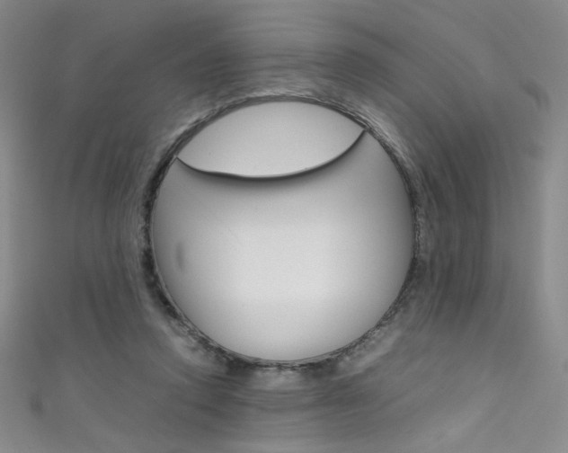 X0000111490354200907141108