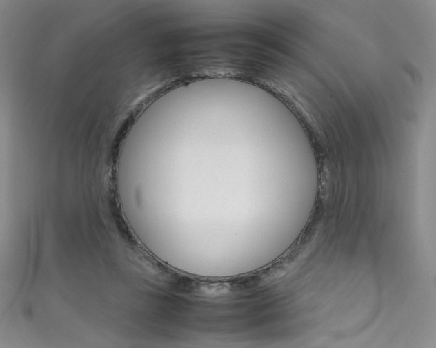 X0000111490355200907141108